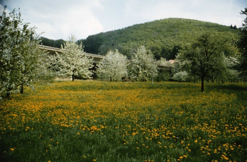 870504_dba_800.jpg