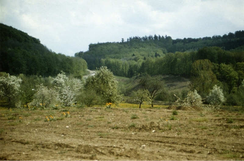 870505_dba_800.jpg